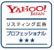 プロフェッショナル認定